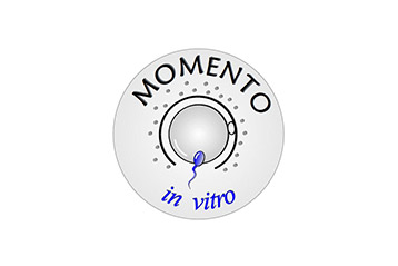 Momento In Vitro